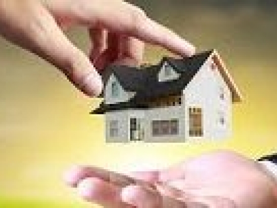 Real Estate